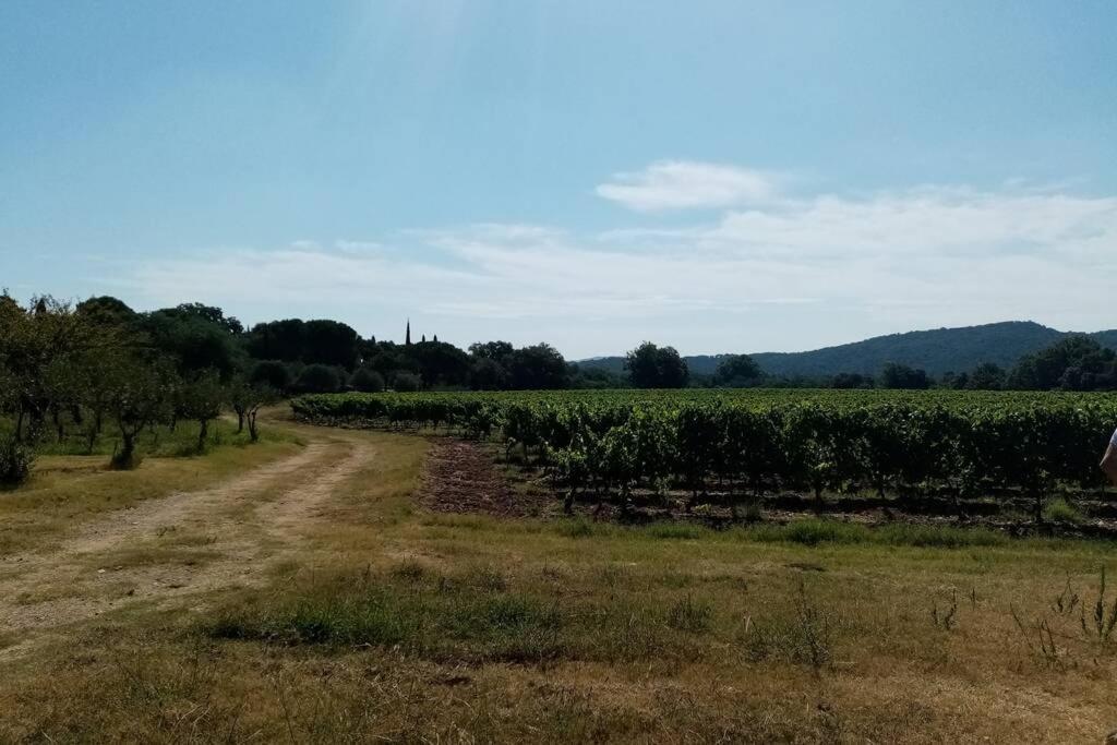 Charmant Appartement T2 Au Coeur Des Vignes Коголен Екстер'єр фото