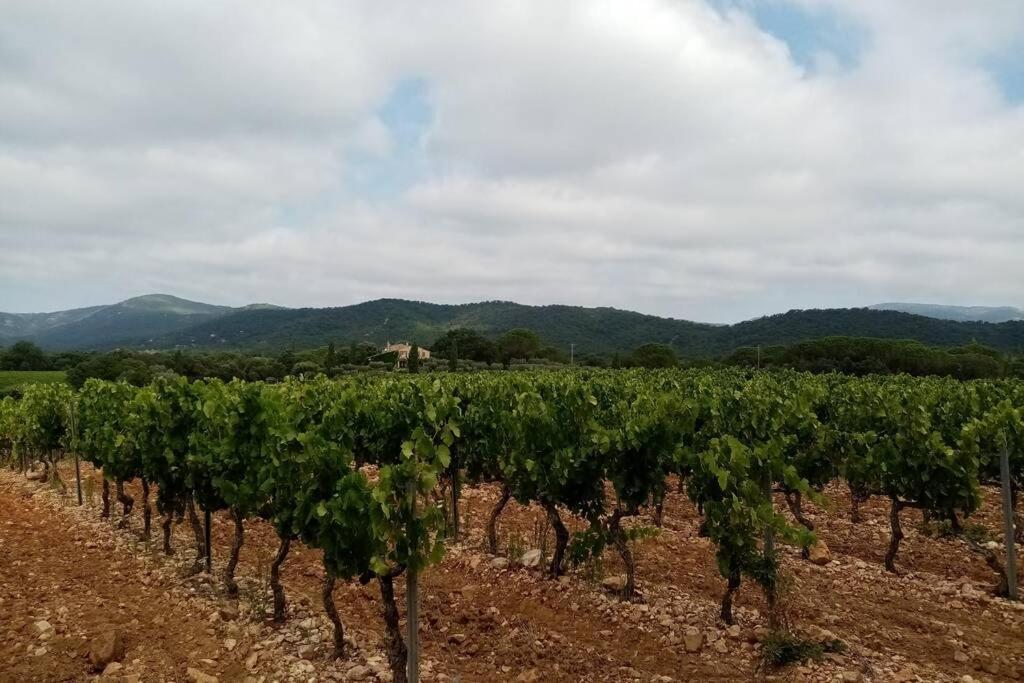 Charmant Appartement T2 Au Coeur Des Vignes Коголен Екстер'єр фото