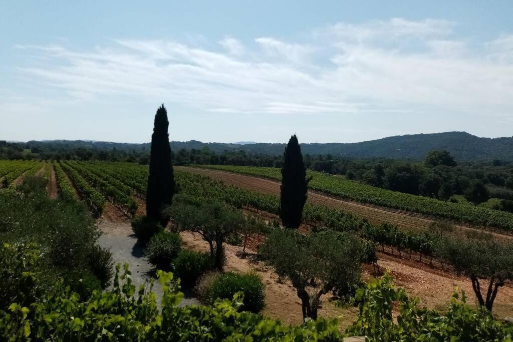 Charmant Appartement T2 Au Coeur Des Vignes Коголен Екстер'єр фото